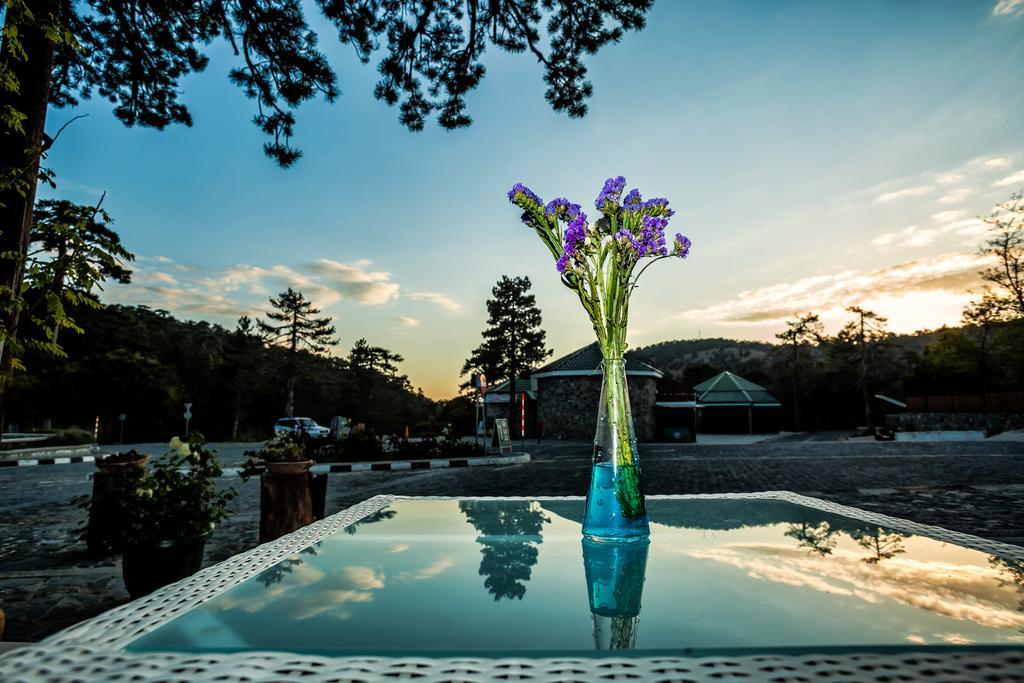 Troodos Hotel Exterior photo